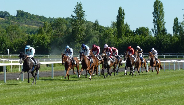 Virtual Horse Racing Betting