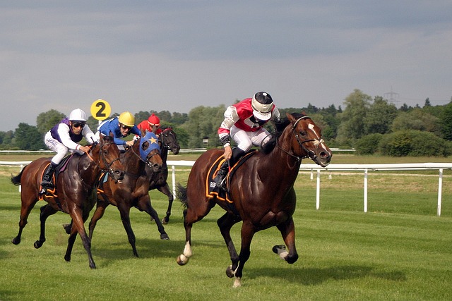 Horse Racing Online